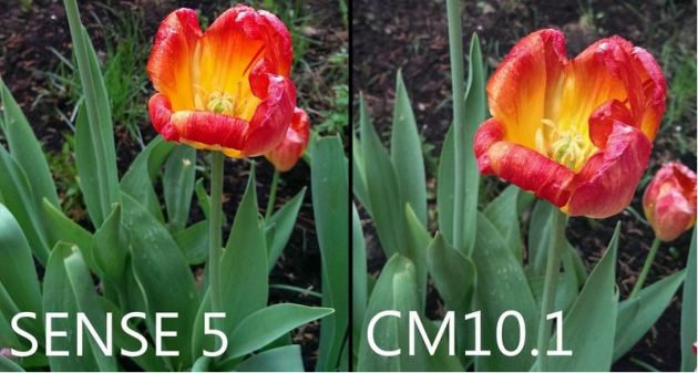 Sense 5.0 vs CyanogenMod 10.1: confronto fotografico