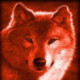 L'avatar di redwolf76