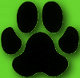 L'avatar di androidpaw