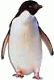 L'avatar di penguin86