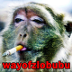 L'avatar di wayofziobubu
