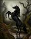 L'avatar di BlackUnicorn