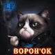 L'avatar di BOPOH